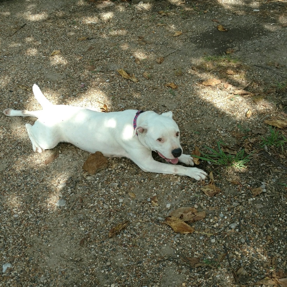 Meet your Posher, Randa